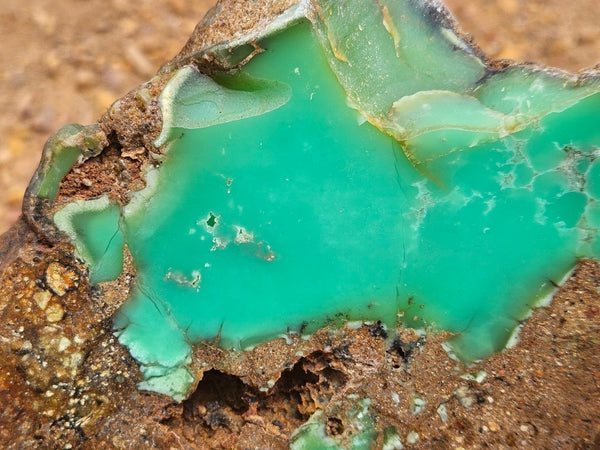 Polished  Chrysoprase  CH496