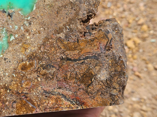 Polished  Chrysoprase  CH496