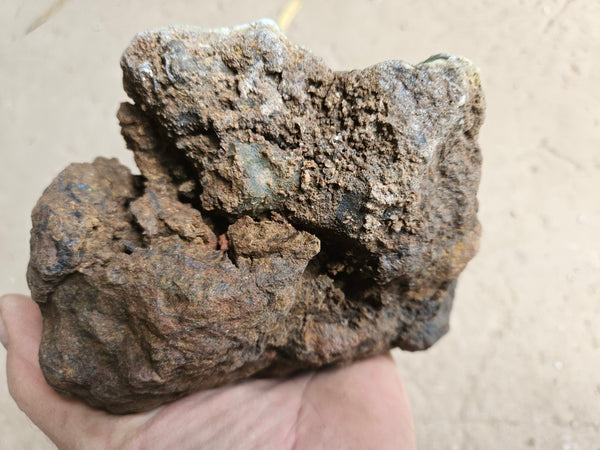 Polished  Chrysoprase  CH496