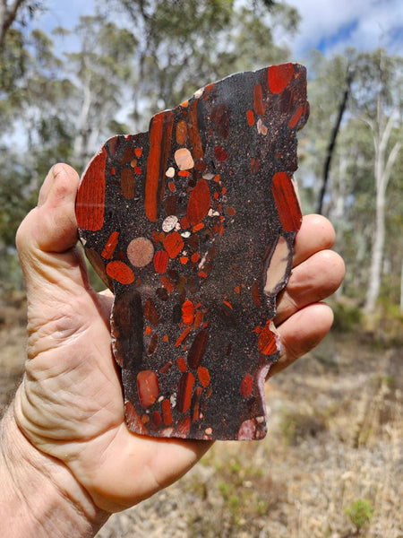 Jelly Bean Jasper polished slab JBJ356