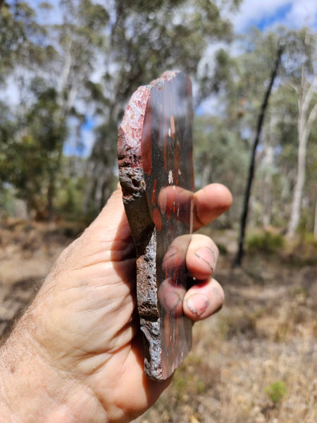 Jelly Bean Jasper polished slab JBJ356