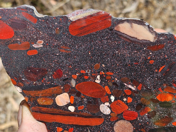 Jelly Bean Jasper polished slab JBJ356