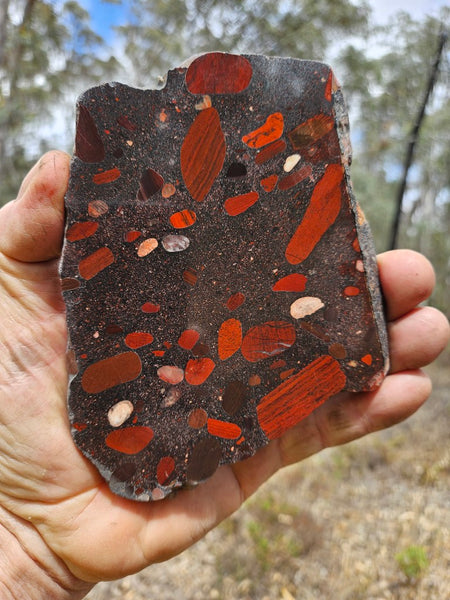 Jelly Bean Jasper polished slab JBJ357