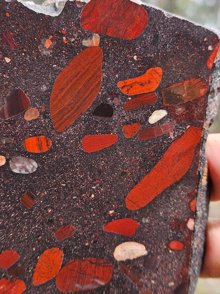 Jelly Bean Jasper polished slab JBJ357