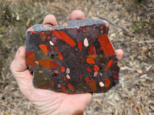 Jelly Bean Jasper polished slab JBJ357
