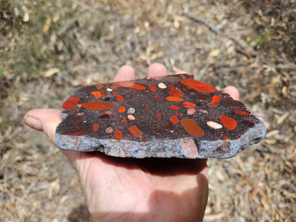 Jelly Bean Jasper polished slab JBJ357