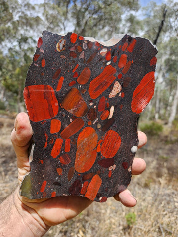 Jelly Bean Jasper polished slab JBJ359
