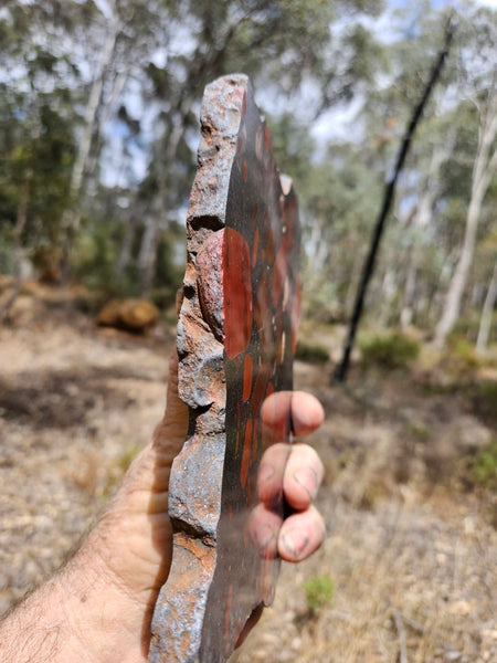 Jelly Bean Jasper polished slab JBJ359