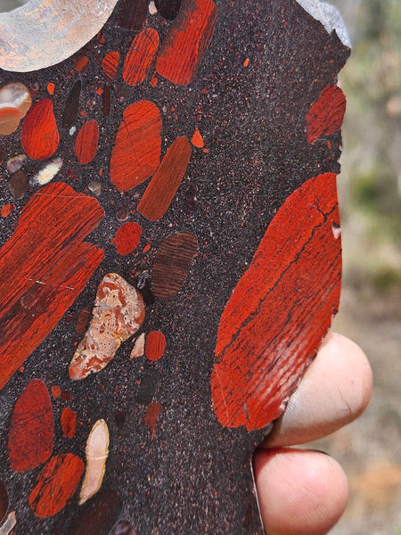 Jelly Bean Jasper polished slab JBJ359