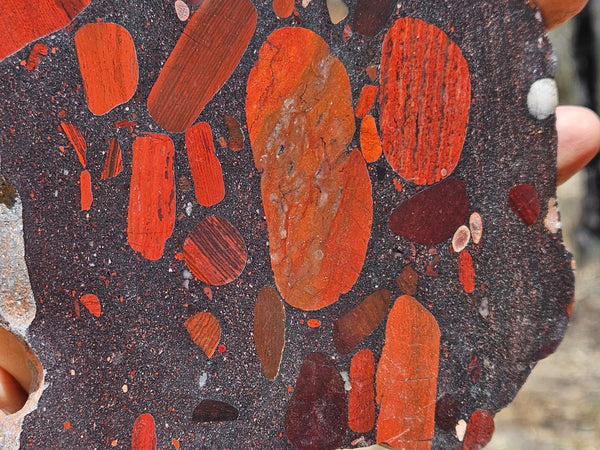 Jelly Bean Jasper polished slab JBJ359