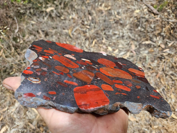 Jelly Bean Jasper polished slab JBJ359