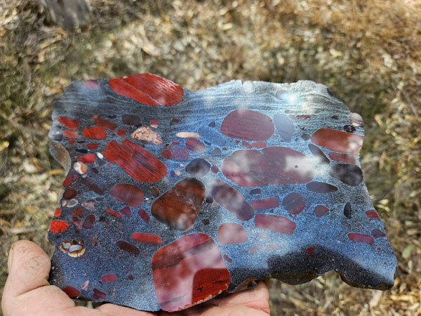 Jelly Bean Jasper polished slab JBJ359
