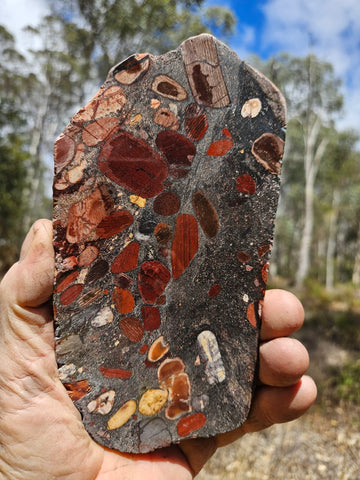 Jelly Bean Jasper polished slab JBJ358