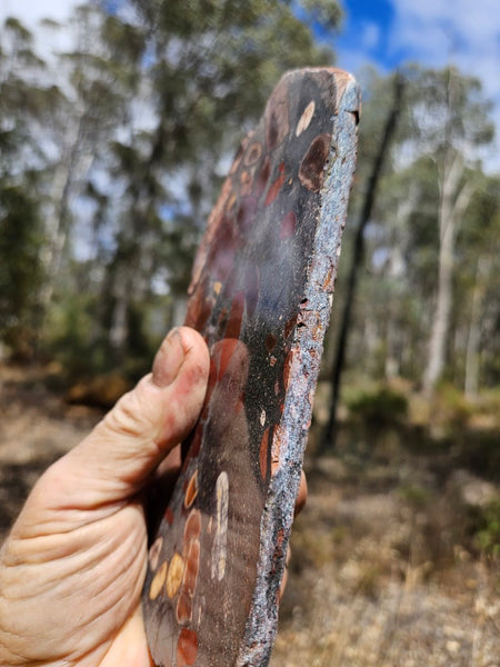 Jelly Bean Jasper polished slab JBJ358