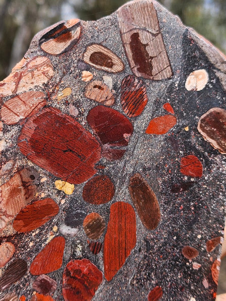 Jelly Bean Jasper polished slab JBJ358