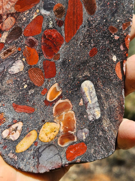 Jelly Bean Jasper polished slab JBJ358