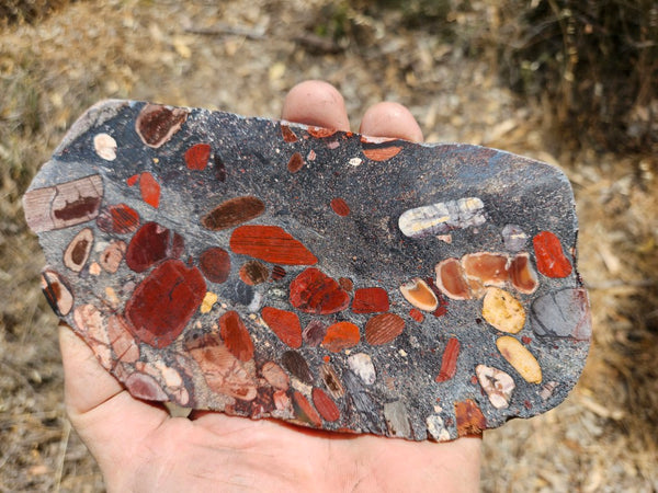 Jelly Bean Jasper polished slab JBJ358