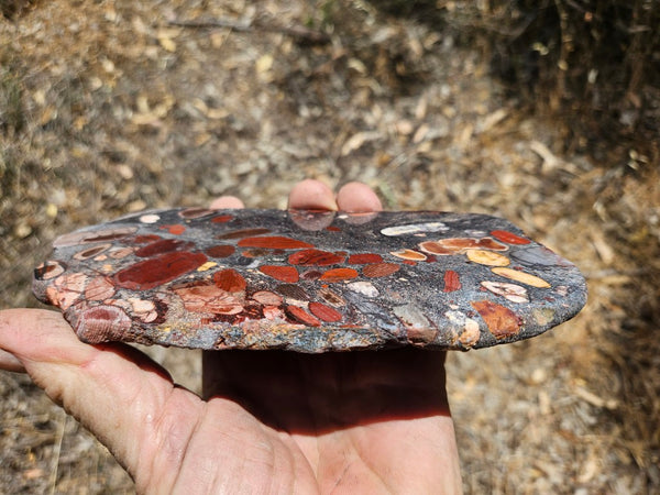 Jelly Bean Jasper polished slab JBJ358