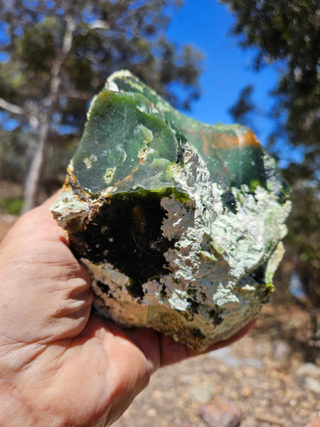 Rough Chrome Chalcedony CCR171