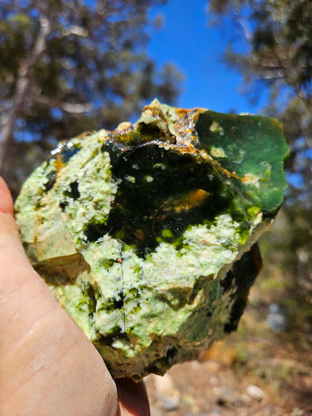 Rough Chrome Chalcedony CCR171