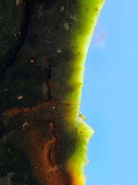 Rough Chrome Chalcedony CCR171