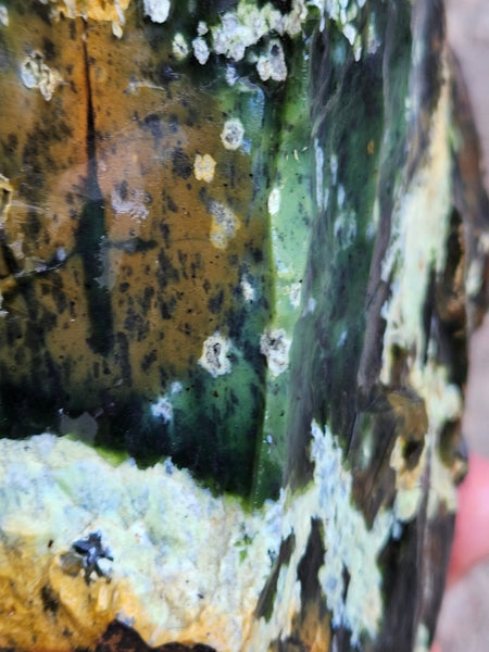 Rough Chrome Chalcedony CCR174