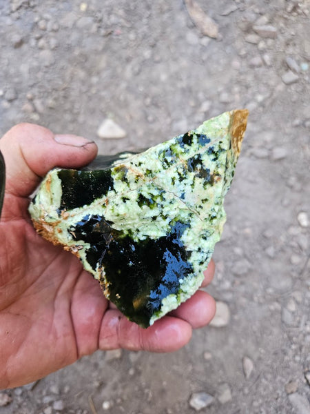 Rough Chrome Chalcedony CCR172