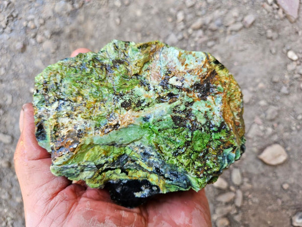 Rough Chrome Chalcedony CCR173