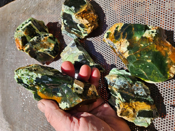 Rough Chrome Chalcedony CCR176