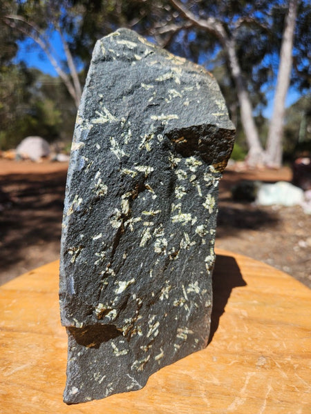 Chinese Writing Stone CW133