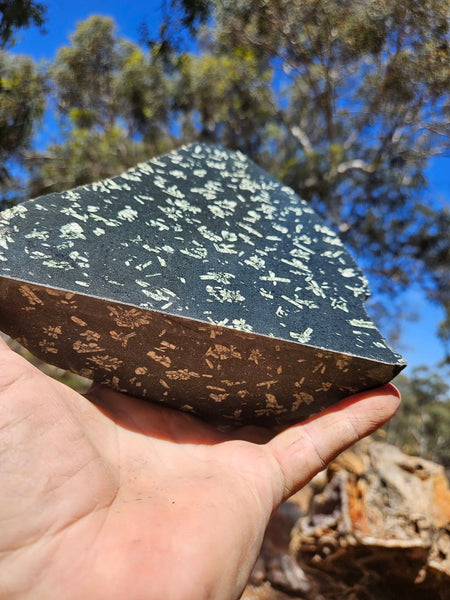 Chinese Writing Stone CW133