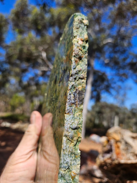 Polished Rainforest Jasper slab RFJ164