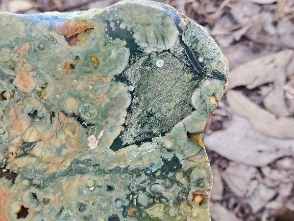 Polished Rainforest Jasper slab RFJ164