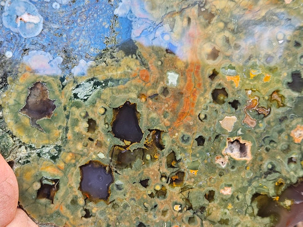 Polished Rainforest Jasper slab RFJ164