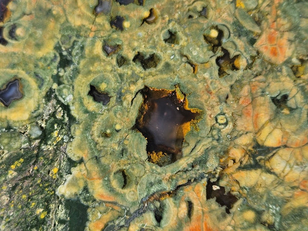 Polished Rainforest Jasper slab RFJ164