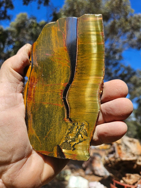 Polished Tiger Eye slab TE491