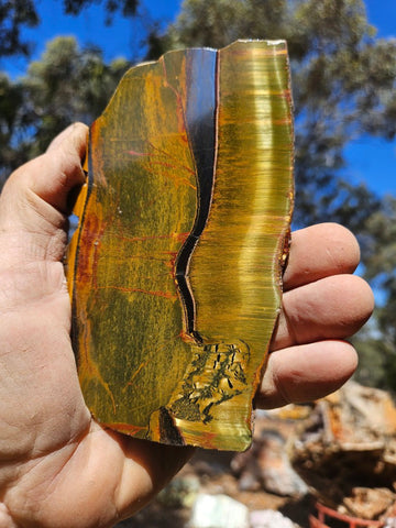 Polished Tiger Eye slab TE491