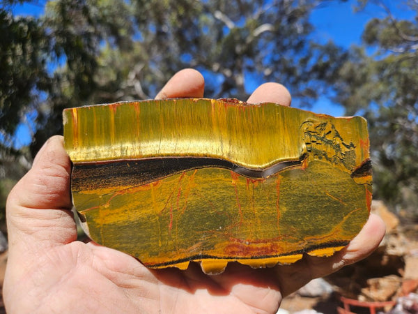 Polished Tiger Eye slab TE491