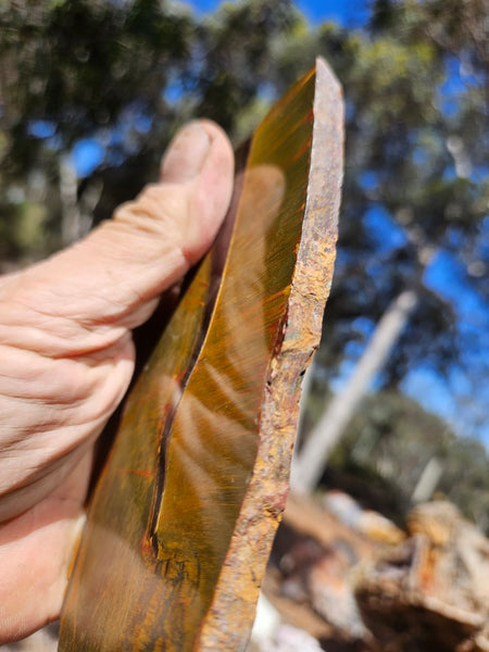 Polished Tiger Eye slab TE491