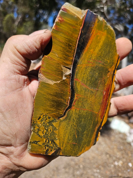 Polished Tiger Eye slab TE491