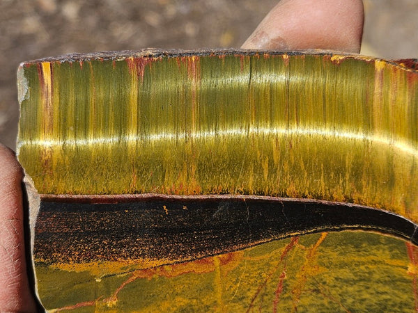 Polished Tiger Eye slab TE491