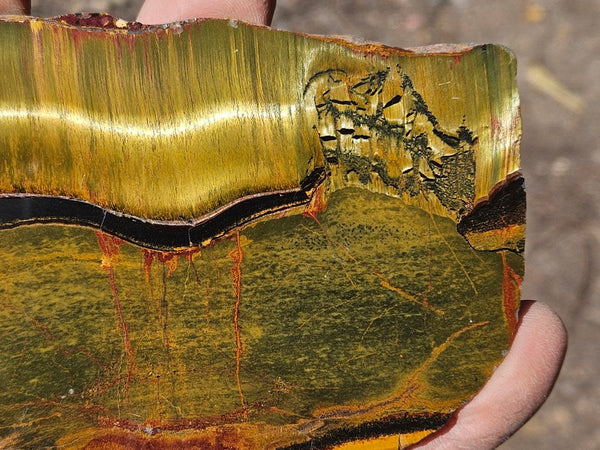 Polished Tiger Eye slab TE491