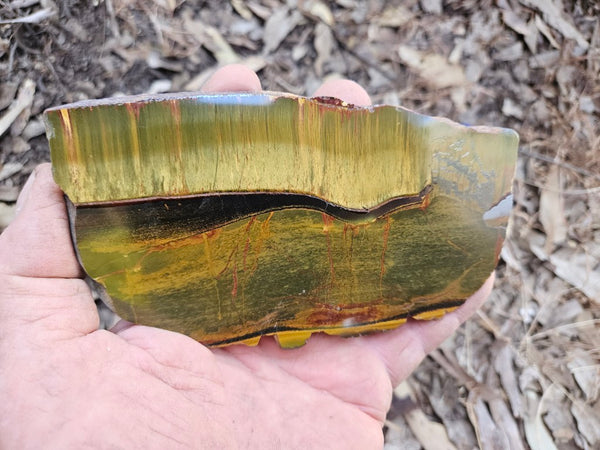 Polished Tiger Eye slab TE491