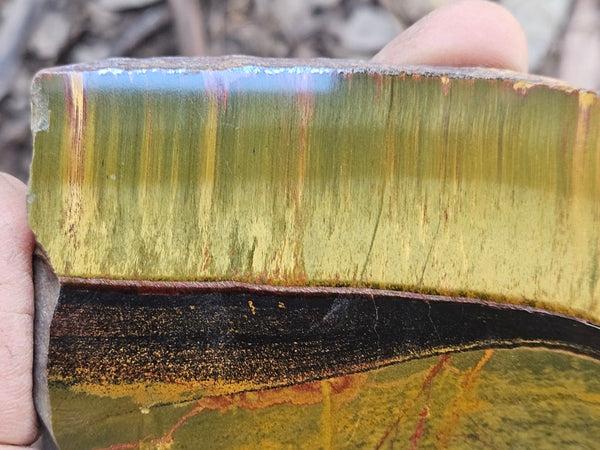 Polished Tiger Eye slab TE491