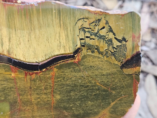 Polished Tiger Eye slab TE491