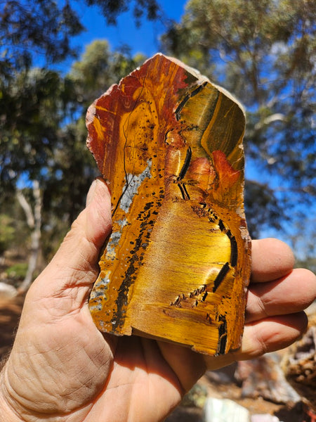 Polished Tiger Eye slab TE492