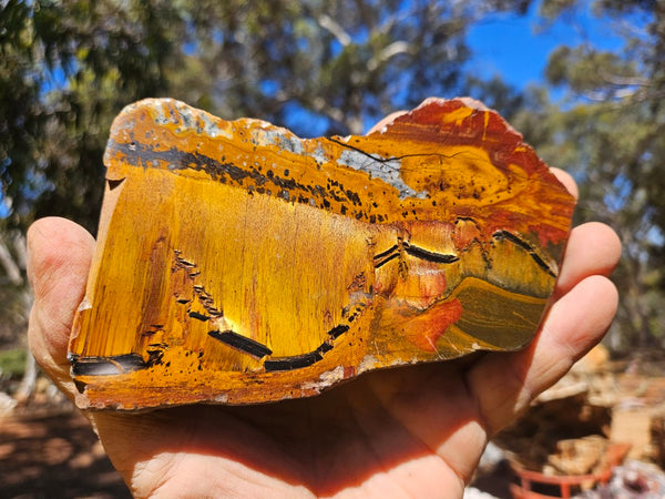 Polished Tiger Eye slab TE492