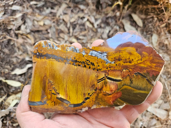 Polished Tiger Eye slab TE492