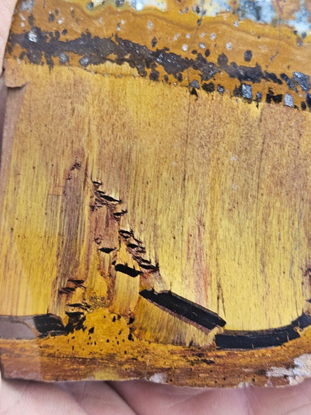 Polished Tiger Eye slab TE492