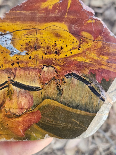 Polished Tiger Eye slab TE492